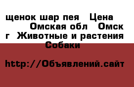 щенок шар-пея › Цена ­ 2 500 - Омская обл., Омск г. Животные и растения » Собаки   
